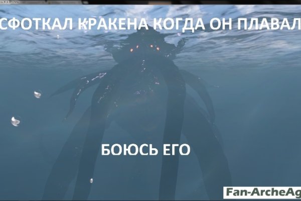 Kraken площадка