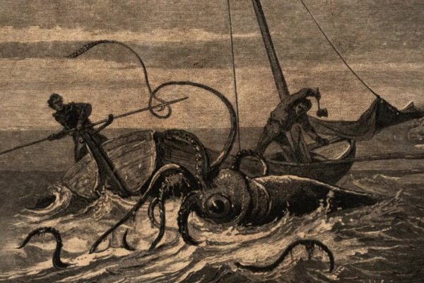Kraken krn